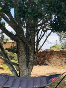 seven fountains farm guesthouse and restaurant breathe and relax eastern cape south africa 016