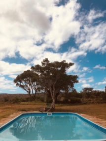 seven fountains farm guesthouse and restaurant breathe and relax eastern cape south africa 02