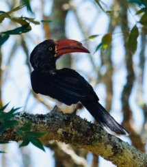 seven fountains farm guesthouse and restaurant breathe and relax eastern cape south africa 020