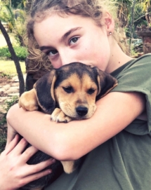 seven fountains farm guesthouse and restaurant breathe and relax eastern cape south africa 021