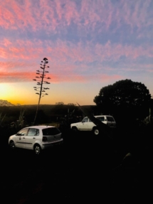 seven fountains farm guesthouse and restaurant breathe and relax eastern cape south africa 022