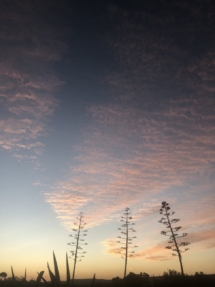 seven fountains farm guesthouse and restaurant breathe and relax eastern cape south africa 07